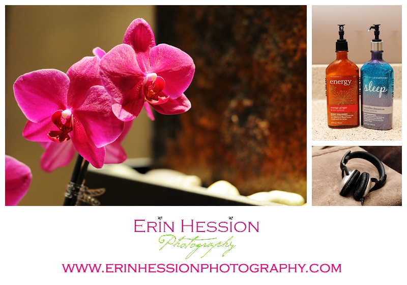 Portraits by Erin Hession Photography