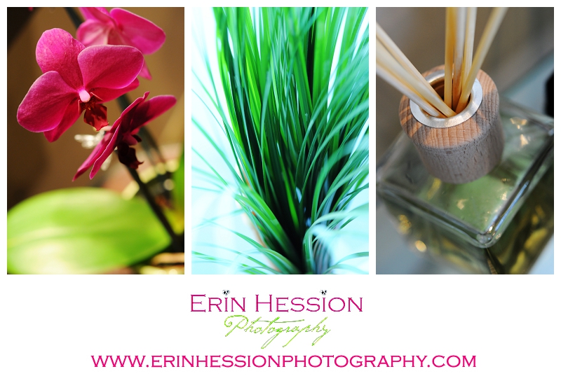 Portraits by Erin Hession Photography